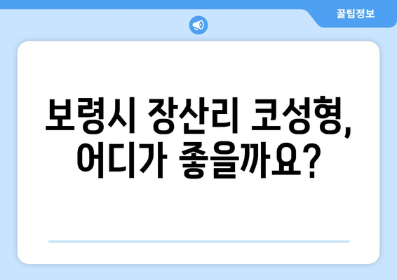 보령시 장산리 코성형 & 코수술 잘하는 곳 추천 | 코성형 전문의, 후기, 비용