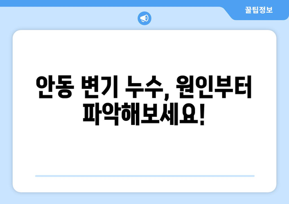 안동시 변기 누수 해결 가이드| 원인 분석부터 수리 방법까지 | 안동 변기 수리, 누수, 배관