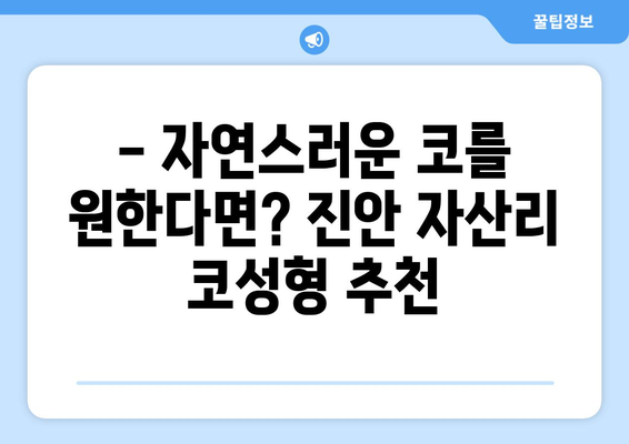 전라북도 진안군 자산리 코성형 & 코수술 잘하는 곳 추천 | 코성형 전문의, 비용, 후기, 상담