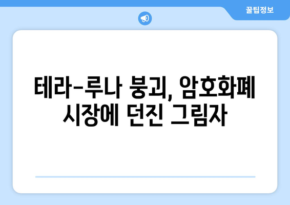 테라-루나 붕괴, 뜨거운 논쟁과 쟁점 | 암호화폐 시장 충격, 투자자 피해, 규제 필요성