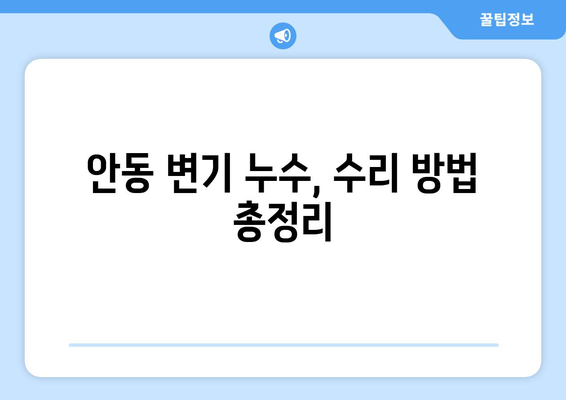 안동시 변기 누수 해결 가이드| 원인 분석부터 수리 방법까지 | 안동 변기 수리, 누수, 배관