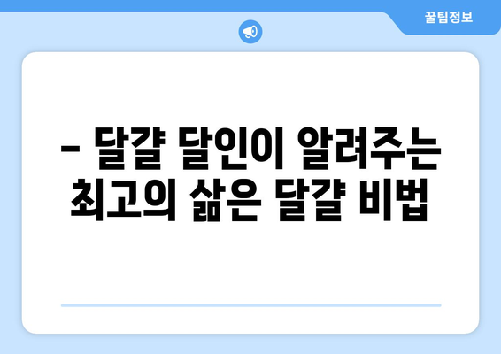 생활의 달인 국보급 달걀 달인의 비법 공개! | 달걀 요리, 팁, 레시피, 삶는법, 굽는법