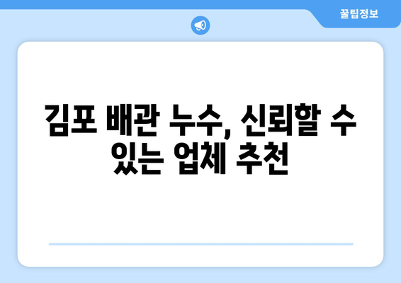 경기도 김포시 군하리 배관 누수 해결 가이드| 원인 분석부터 전문 업체 추천까지 | 배관 누수, 누수 탐지, 배관 수리, 김포 배관, 군하리 배관