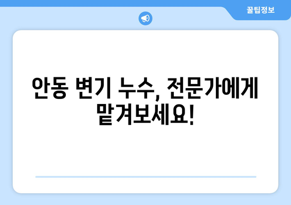 안동시 변기 누수 해결 가이드| 원인 분석부터 수리 방법까지 | 안동 변기 수리, 누수, 배관