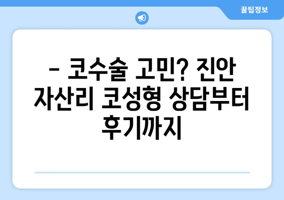 전라북도 진안군 자산리 코성형 & 코수술 잘하는 곳 추천 | 코성형 전문의, 비용, 후기, 상담