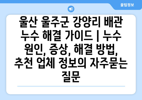 울산 울주군 강양리 배관 누수 해결 가이드 | 누수 원인, 증상, 해결 방법, 추천 업체 정보