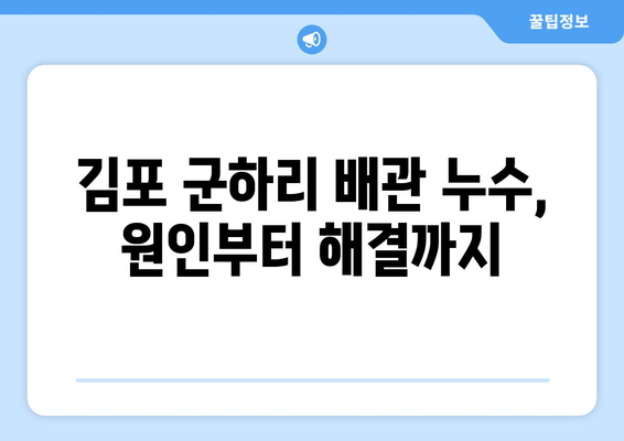 경기도 김포시 군하리 배관 누수 해결 가이드| 원인 분석부터 전문 업체 추천까지 | 배관 누수, 누수 탐지, 배관 수리, 김포 배관, 군하리 배관