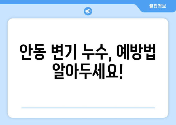 안동시 변기 누수 해결 가이드| 원인 분석부터 수리 방법까지 | 안동 변기 수리, 누수, 배관