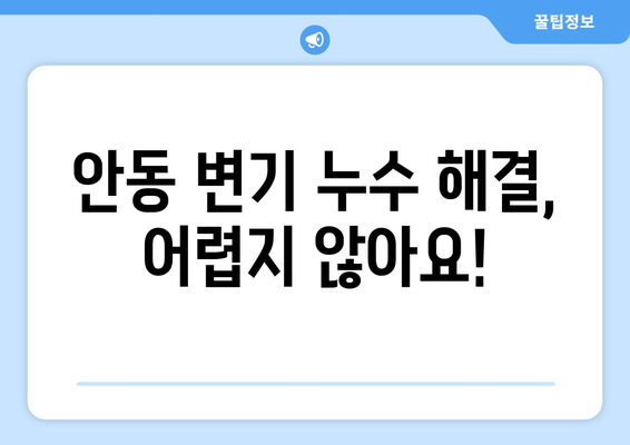 안동시 변기 누수 해결 가이드| 원인 분석부터 수리 방법까지 | 안동 변기 수리, 누수, 배관